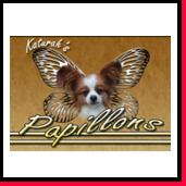 Happy Clients of Webigg Technology